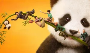 Panda Plan