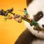 Panda Plan